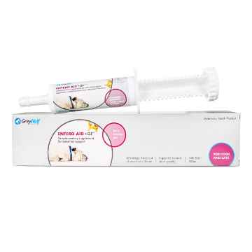 Stops Diarrhea Quickly Picture of ENTERO AID + GI - 60ml