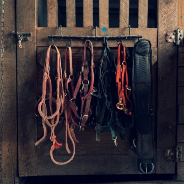 Picture for category Halters and Tack Care