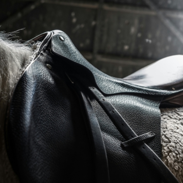 Picture for category Tack Care