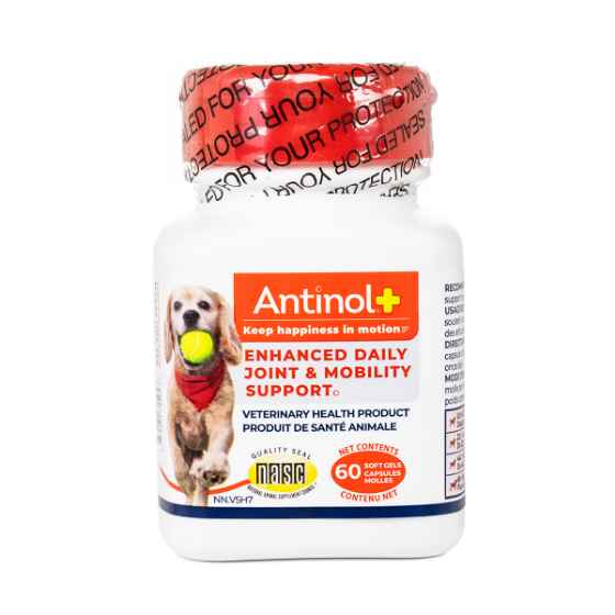Picture of ANTINOL PLUS JOINT & MOBILITY SUPPORT CAPSULES for DOGS - 60s