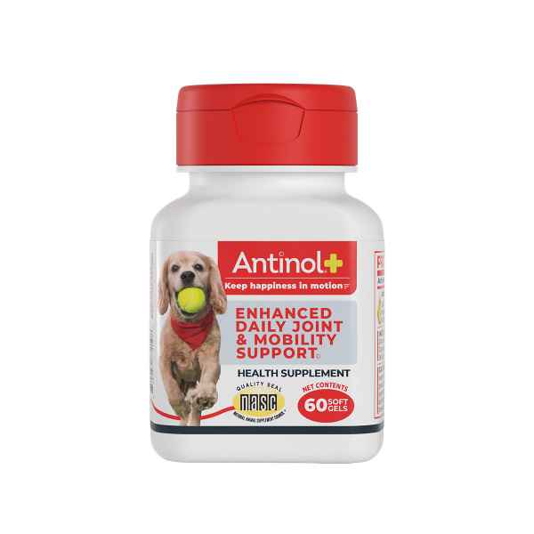 Picture of ANTINOL PLUS JOINT & MOBILITY SUPPORT CAPSULES for DOGS - 60s