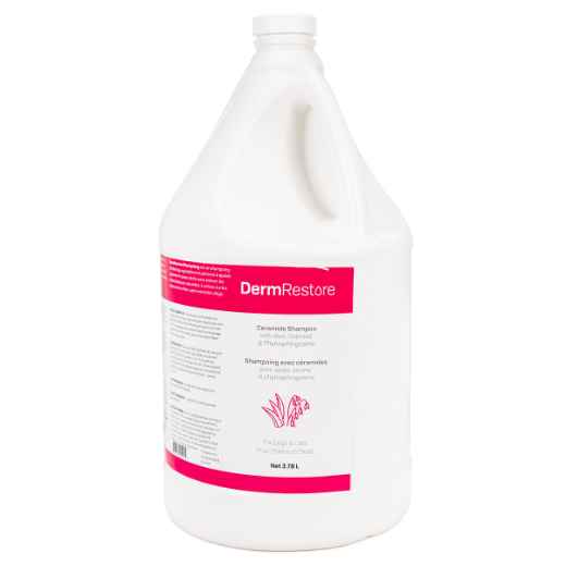 Picture of DERMRESTORE CERAMIDE SHAMPOO - 3.78L 