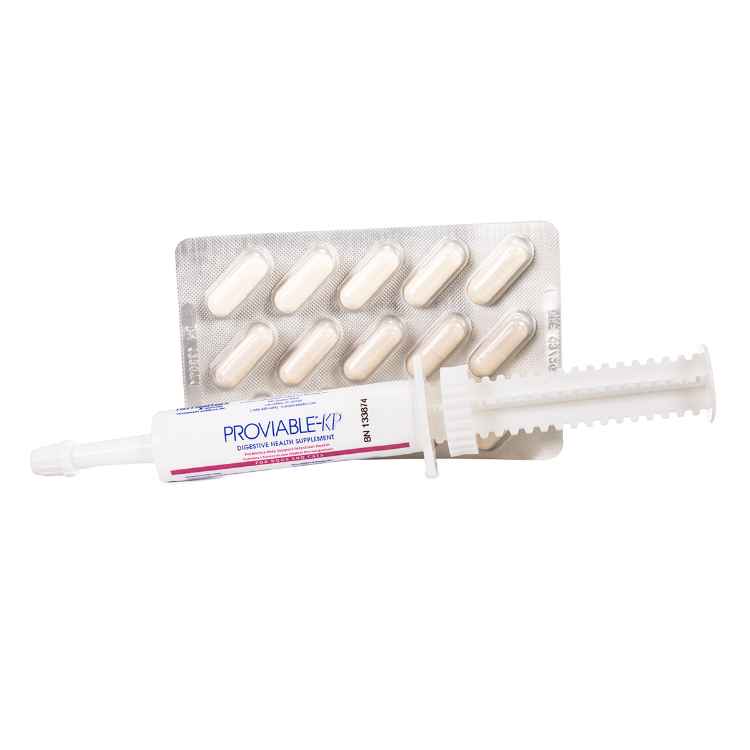 Picture of PROVIABLE FORTE KIT for CATS & SMALL DOGS 15ml + 15 CAPS 