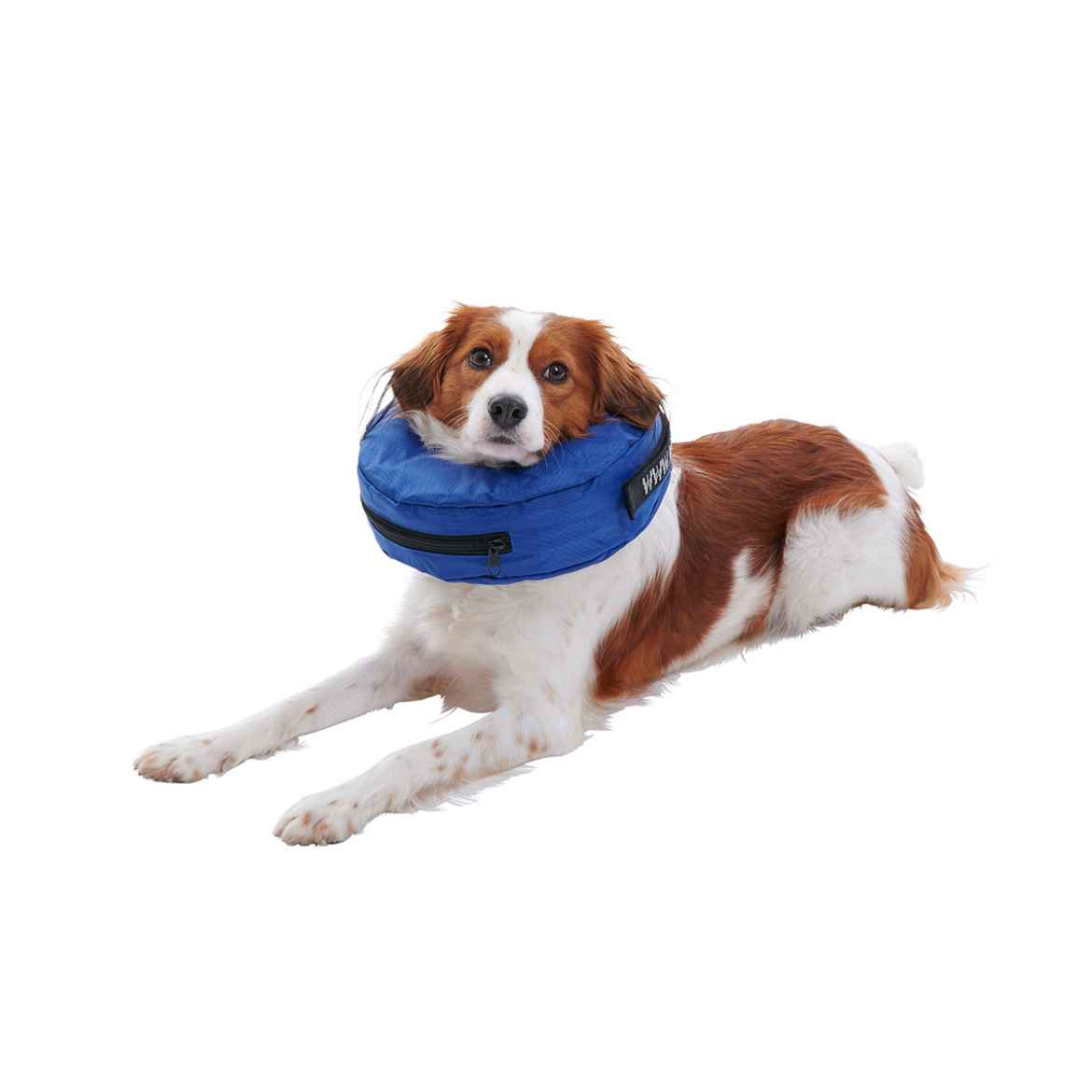 Picture of BUSTER COLLAR INFLATABLE Nylon BLUE (279729) - X Small