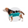 Picture of AFTER SURGERY WEAR VetMedWear - 3XS