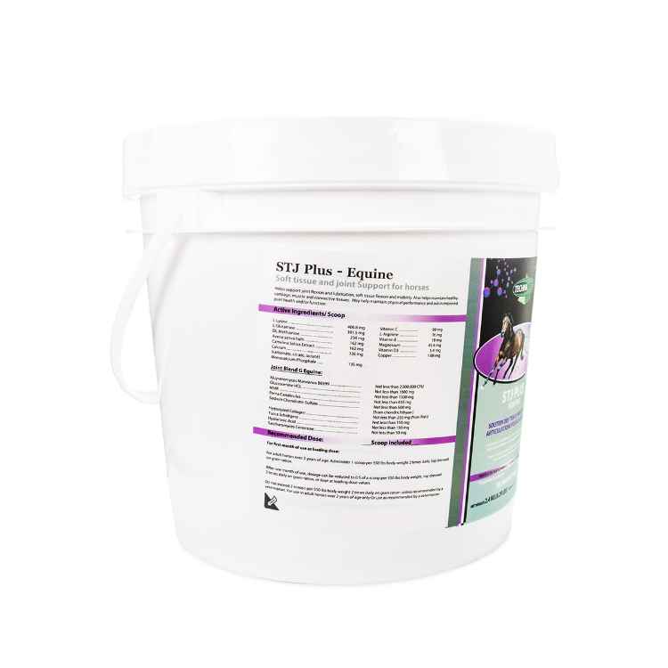 Picture of EQUINE STJ PLUS SUPPLEMENT - 2.4kg
