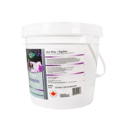 Picture of EQUINE STJ PLUS SUPPLEMENT - 2.4kg
