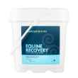Picture of EQUINE RECOVERY XSTRENGTH POWDER - 5kg
