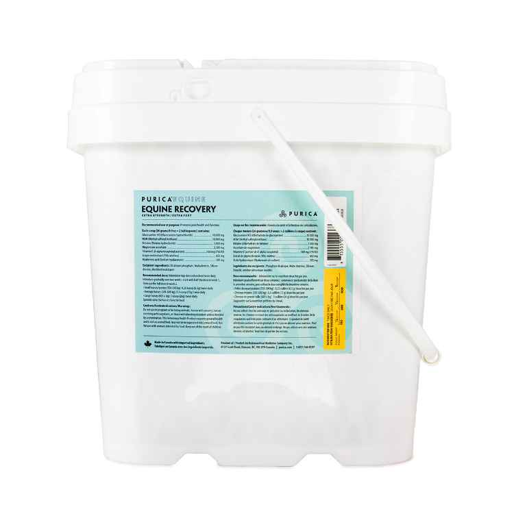 Picture of EQUINE RECOVERY XSTRENGTH POWDER - 5kg