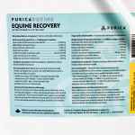 Picture of EQUINE RECOVERY XSTRENGTH POWDER - 5kg