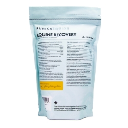 Picture of EQUINE RECOVERY XSTRENGTH POWDER - 1kg