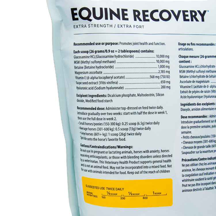 Picture of EQUINE RECOVERY XSTRENGTH POWDER - 1kg