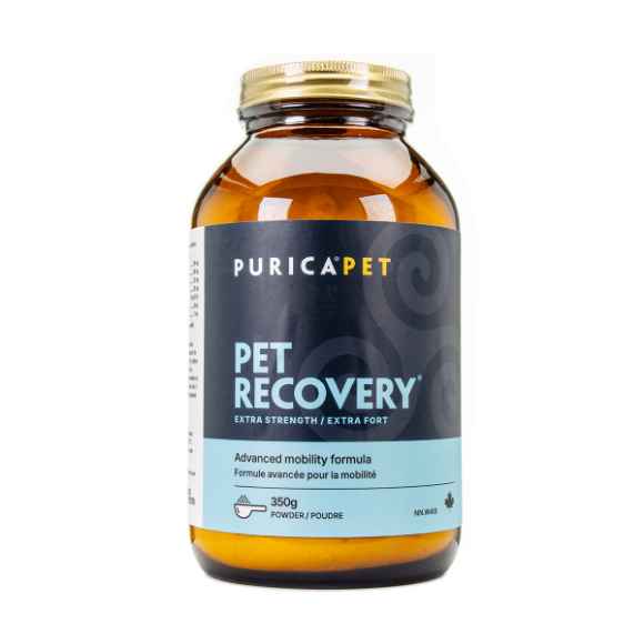 Picture of PET RECOVERY XSTRENGTH POWDER - 350g
