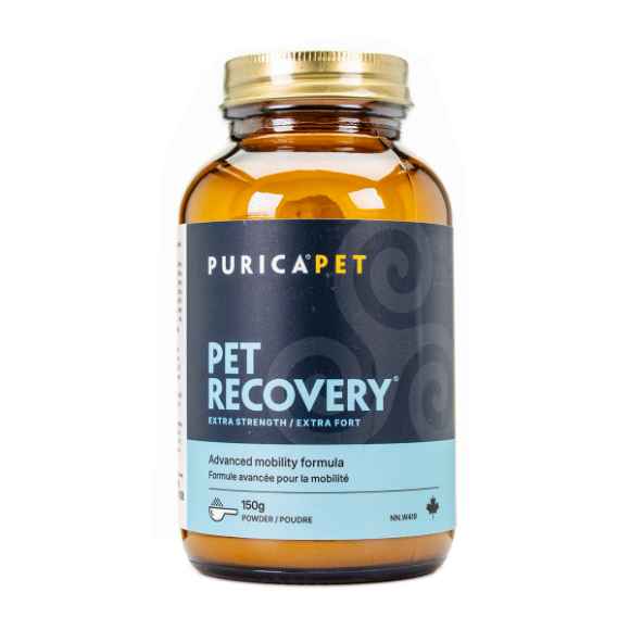 Picture of PET RECOVERY XSTRENGTH POWDER - 150g