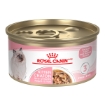 Picture of FELINE Royal Canin KITTEN LOAF - 24 x 145gm cans