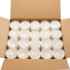 Picture of COFFEE CUPS PAPER WHITE 8oz - 1000's