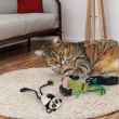 Picture of TOY CAT KONG SCATTLES Panda - 2/pk