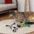 Picture of TOY CAT KONG SCATTLES Panda - 2/pk