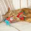 Picture of TOY CAT KONG KICKEROO Highland Cow Assorted Colors