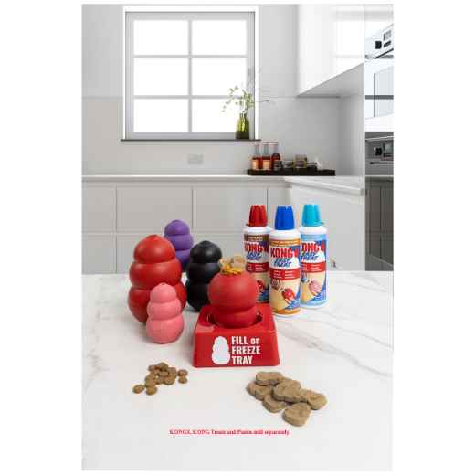 Picture of KONG FILL OR FREEZE KONG TRAY - Single
