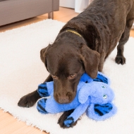Picture of TOY DOG KONG JUNGLE JAMZ Elephant - Med/Large