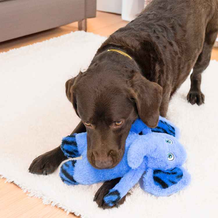 Picture of TOY DOG KONG JUNGLE JAMZ Elephant - Med/Large