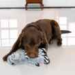 Picture of TOY DOG KONG JUNGLE JAMZ Gorilla - Med/Large