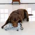 Picture of TOY DOG KONG JUNGLE JAMZ Gorilla - Med/Large