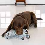 Picture of TOY DOG KONG JUNGLE JAMZ Gorilla - Med/Large