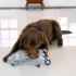 Picture of TOY DOG KONG JUNGLE JAMZ Gorilla - Med/Large