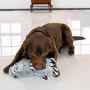 Picture of TOY DOG KONG JUNGLE JAMZ Gorilla - Med/Large