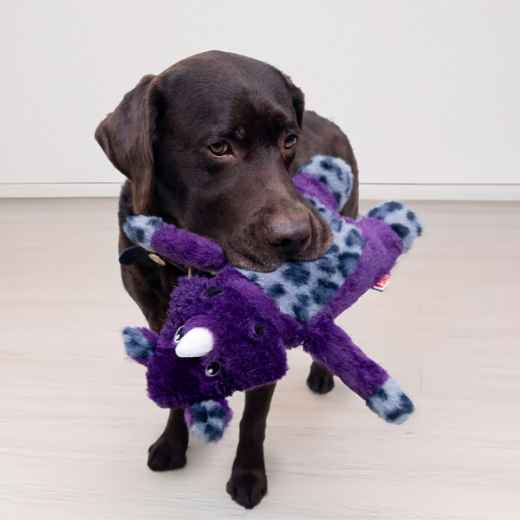 Picture of TOY DOG KONG JUNGLE JAMZ Rhino - Med/Large