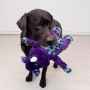 Picture of TOY DOG KONG JUNGLE JAMZ Rhino - Med/Large