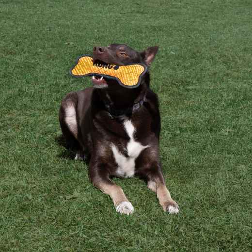 Picture of TOY DOG KONG ARMOR BONE Assorted Colors - Medium