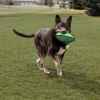 Picture of TOY DOG KONG ARMOR FOOTBALL Assorted Colors - Medium