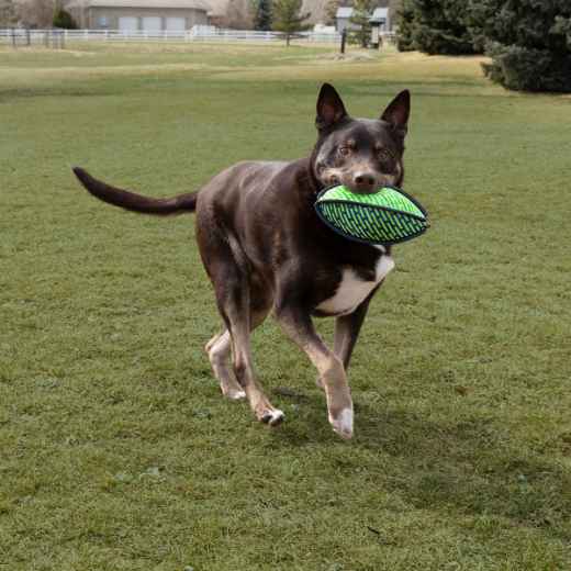 Picture of TOY DOG KONG ARMOR FOOTBALL Assorted Colors - Medium