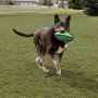 Picture of TOY DOG KONG ARMOR FOOTBALL Assorted Colors - Medium