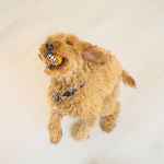 Picture of TOY DOG KONG GRINZ BALL Puffer Fish - Medium