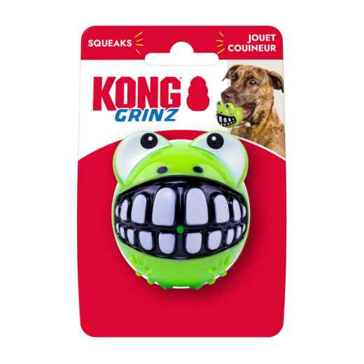 Picture of TOY DOG KONG GRINZ BALL Frog - Medium