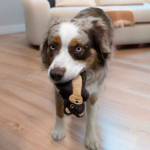 Picture of TOY DOG SNUZZLES MINI Otter - X Small