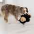 Picture of TOY DOG SNUZZLES Gorilla - X Large
