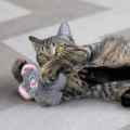Picture of TOY CAT KONG SNUZZLE Mouse