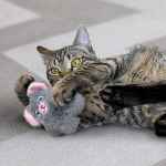 Picture of TOY CAT KONG SNUZZLE Mouse