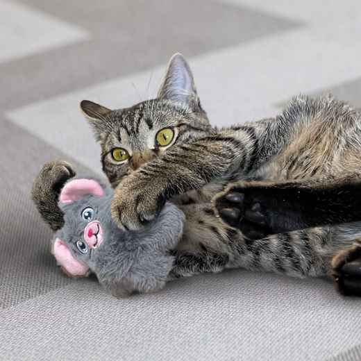 Picture of TOY CAT KONG SNUZZLE Mouse