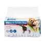 Picture of DIAPER Large PAWISE DISPOSABLES - 12/pk