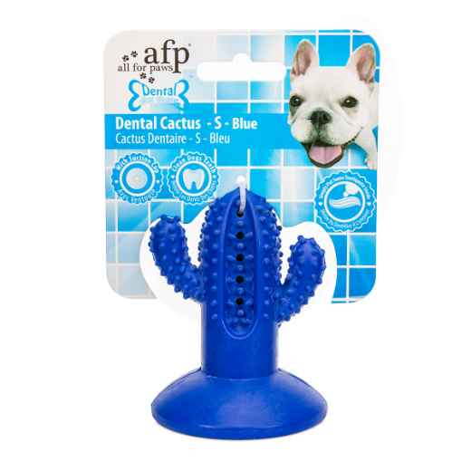 Picture of TOY DOG AFP DENTAL CHEW CACTUS - Small Blue