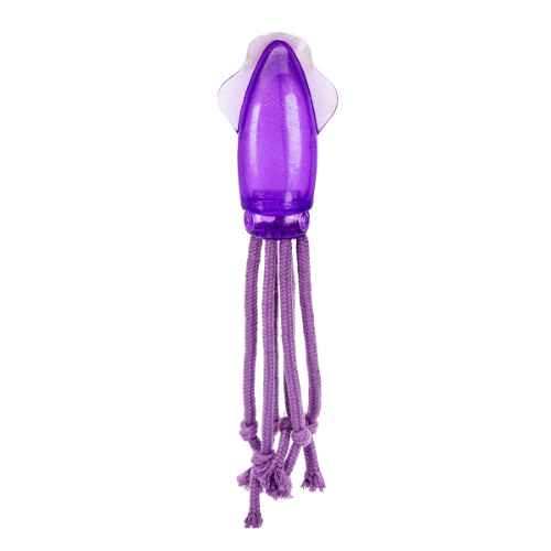 Picture of TOY DOG PAWISE CHEW AND FLOSS - Large Squid