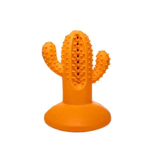 Picture of TOY DOG AFP DENTAL CHEW CACTUS - Orange Medium