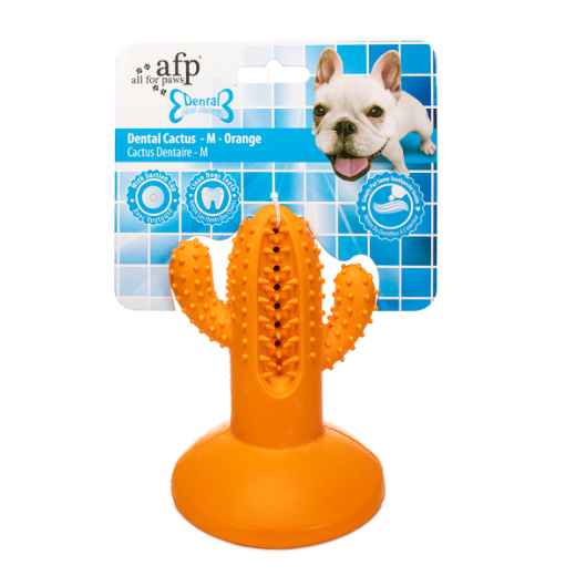 Picture of TOY DOG AFP DENTAL CHEW CACTUS - Orange Medium