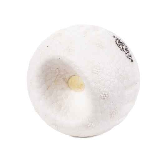 Picture of TOY DOG AFP META BALL TURBO BALL - Medium